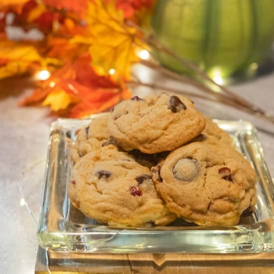Cranberry and Bittersweet Chocolate Chip Cookies My Cookie Journey