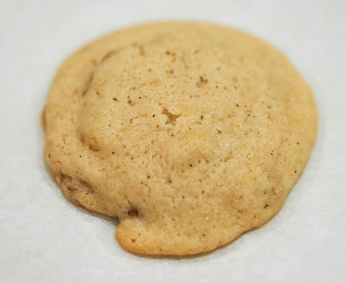 Applesauce and Walnut single cookie baked.