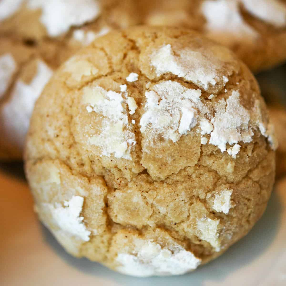 Brown butter crinkle cookie baked with powdered sugar propped up.
