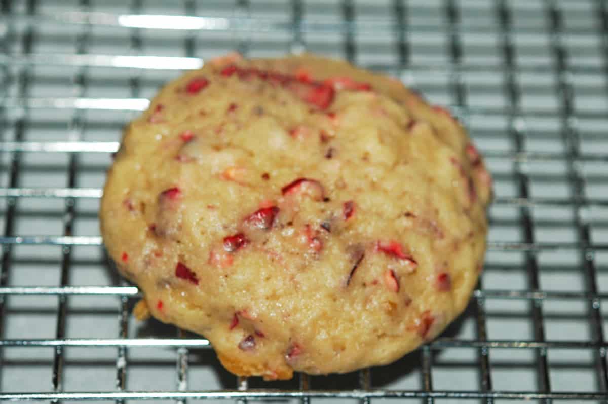 cranberry and walnut single cookie on rack right out of the oven.