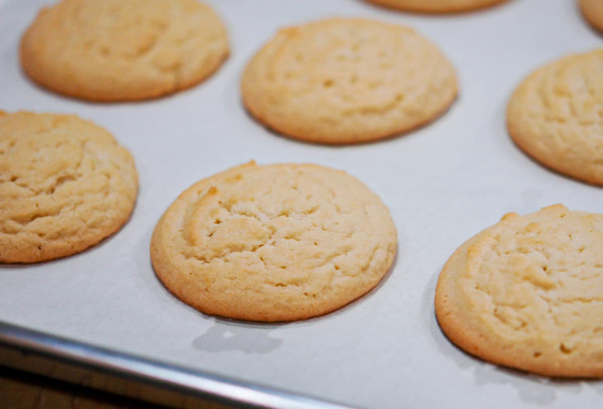 Amish sugar cookies still on the sheet pan and right out of the oven.