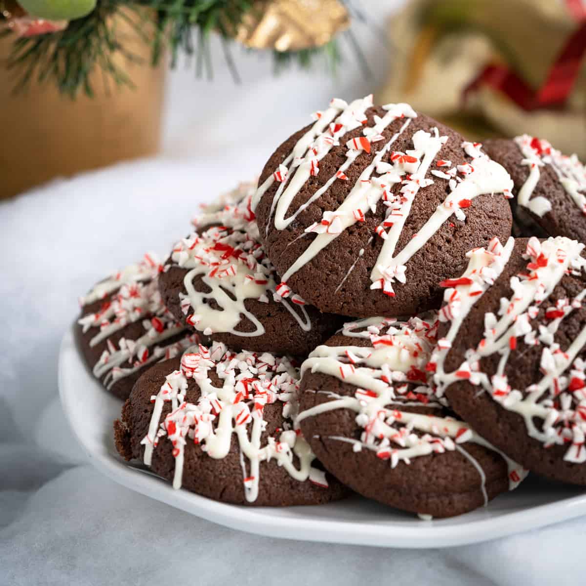 Peppermint Mocha Cookies on a white plate.