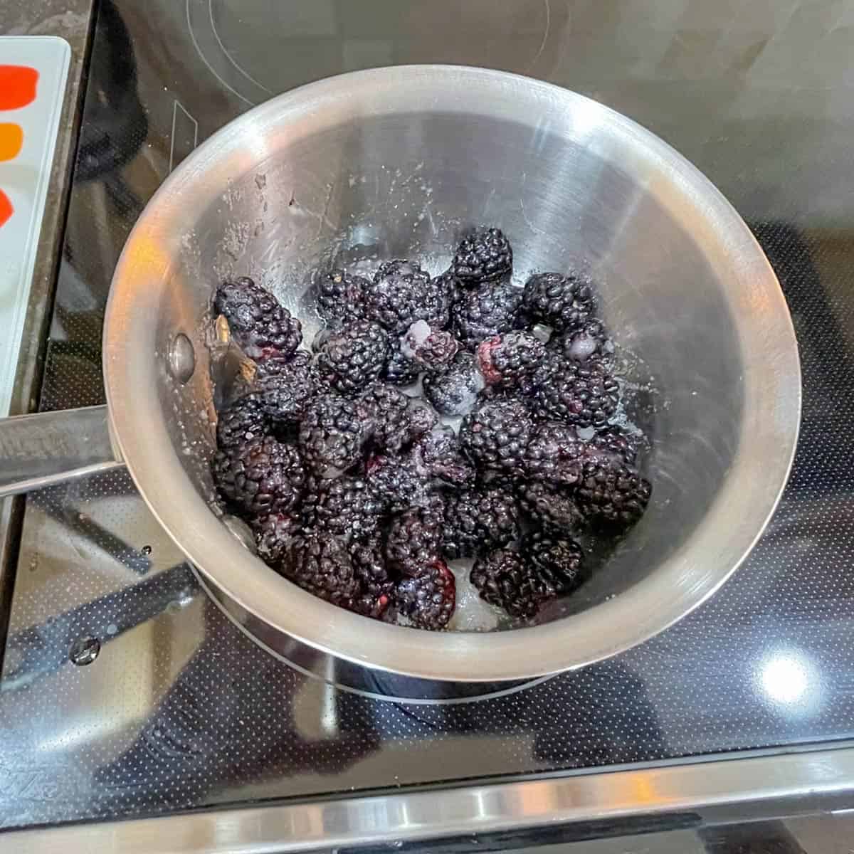 Blackberries and sugar in saucepan to make puree.