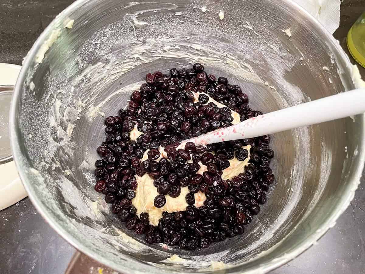 Folding in rehydrated blueberries into cookie dough.
