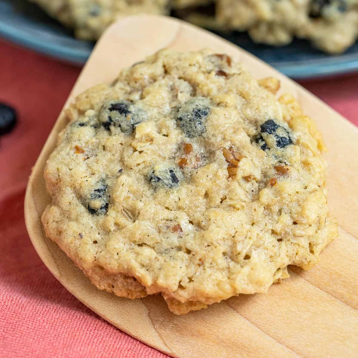 Blueberry with walnuts and cinnamon oatmeal cookie on a wooden spoon.