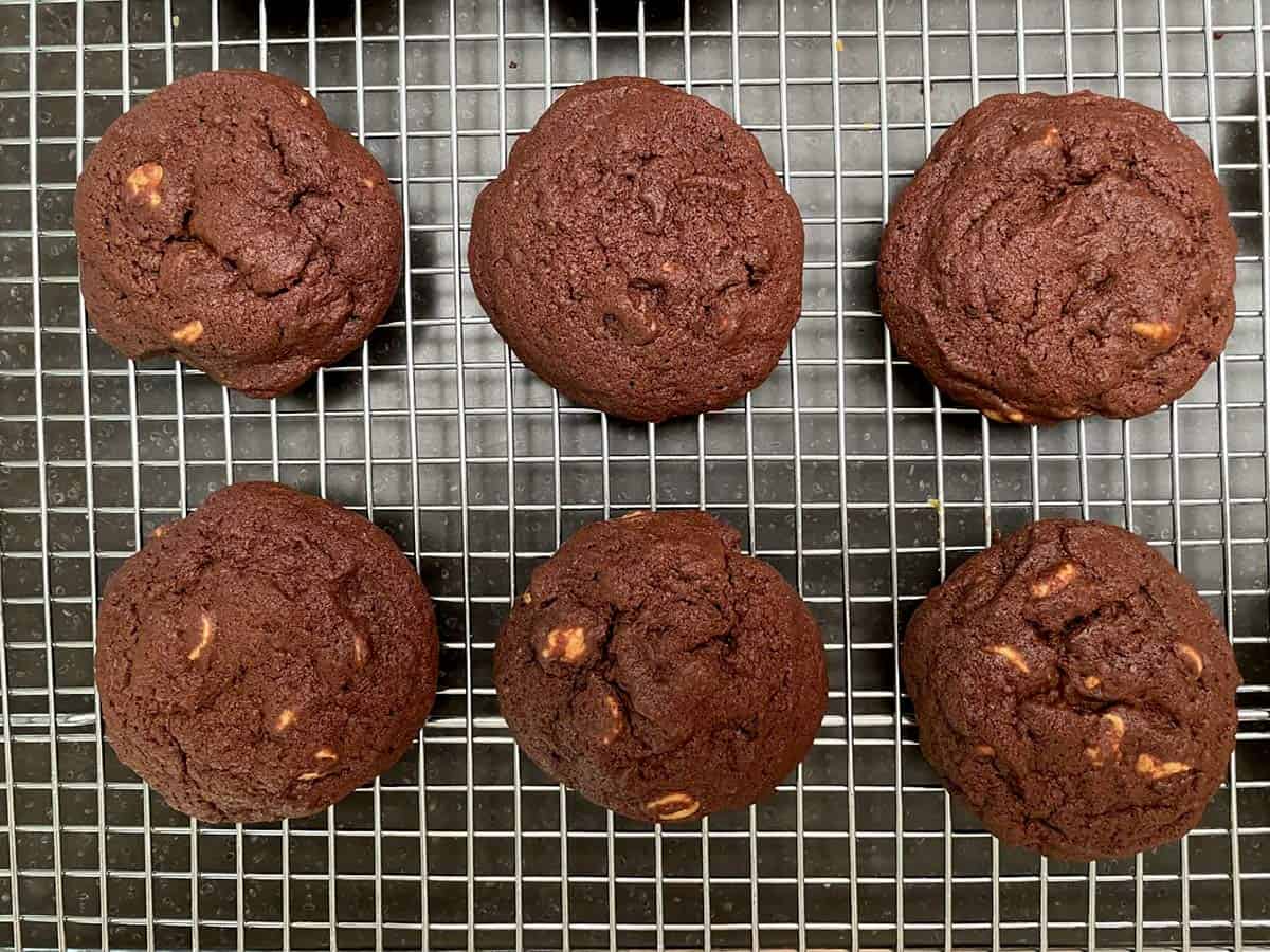 Chocolate cookies with peanut butter chip sticking out cooling on a wire rack.