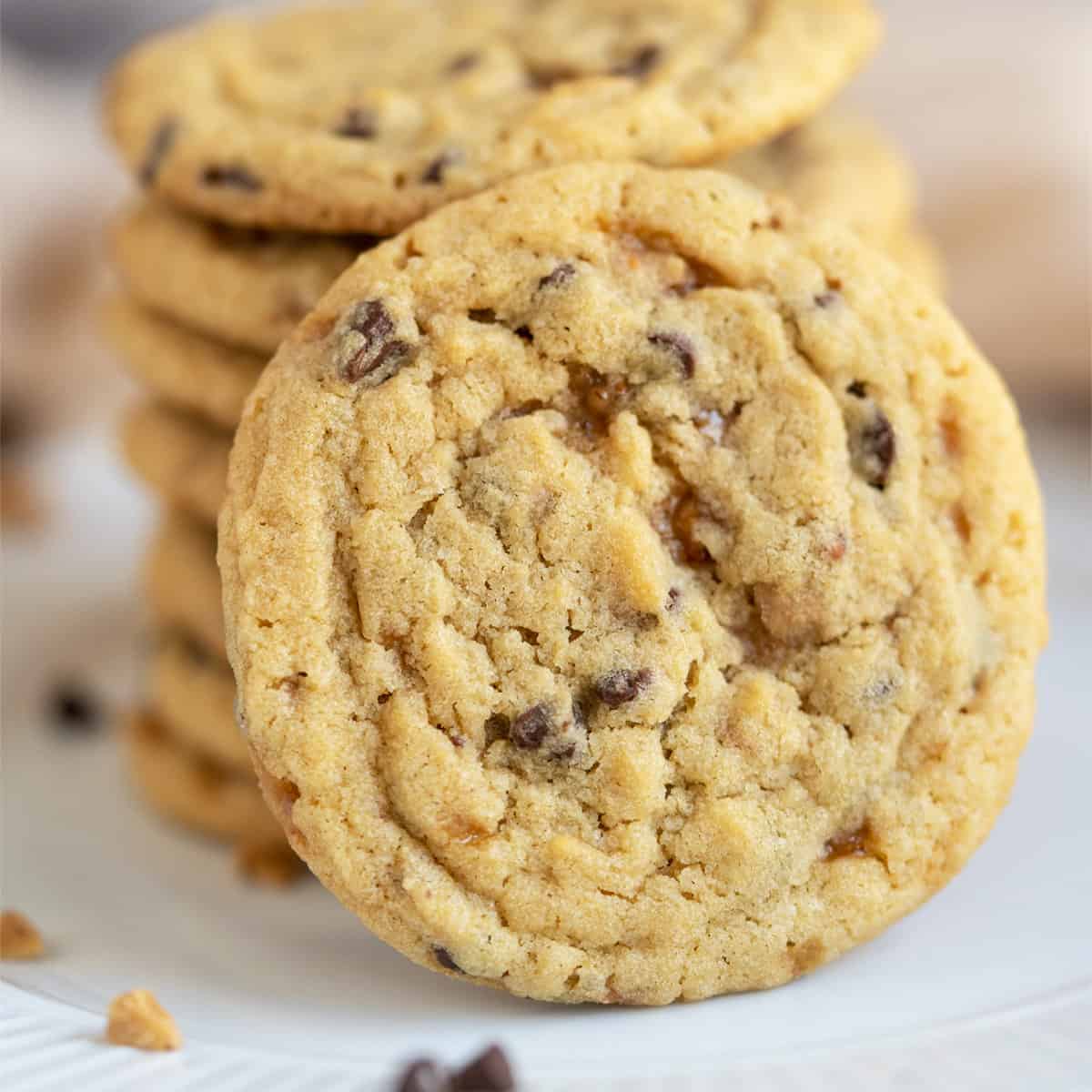 Close up of a chocolate English toffee bit cookie.