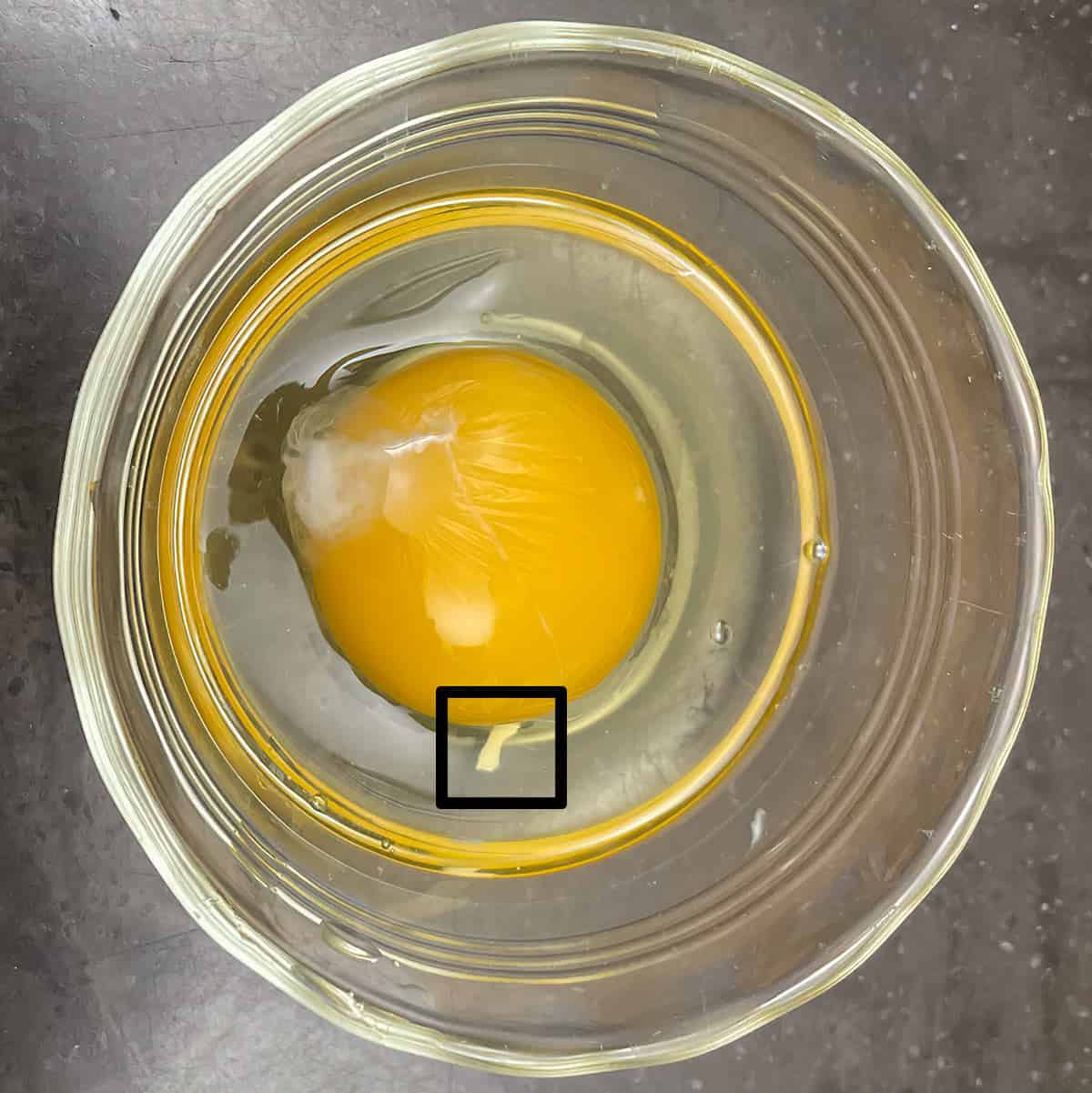 Single egg broken into a small cup and showing there is a piece of eggshell that dropped with the egg yolk.