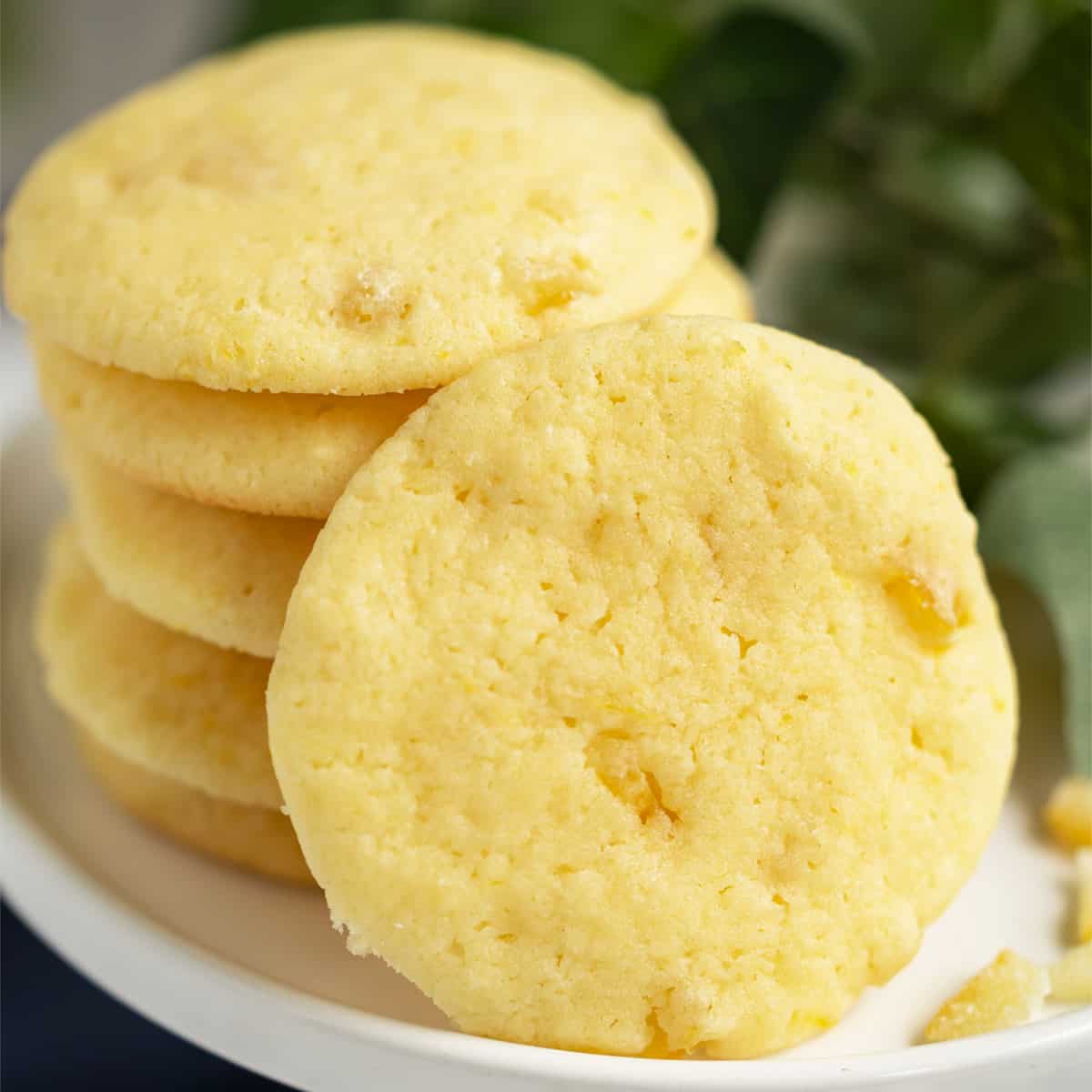 Close up of a lemon with a touch of honey cookie.