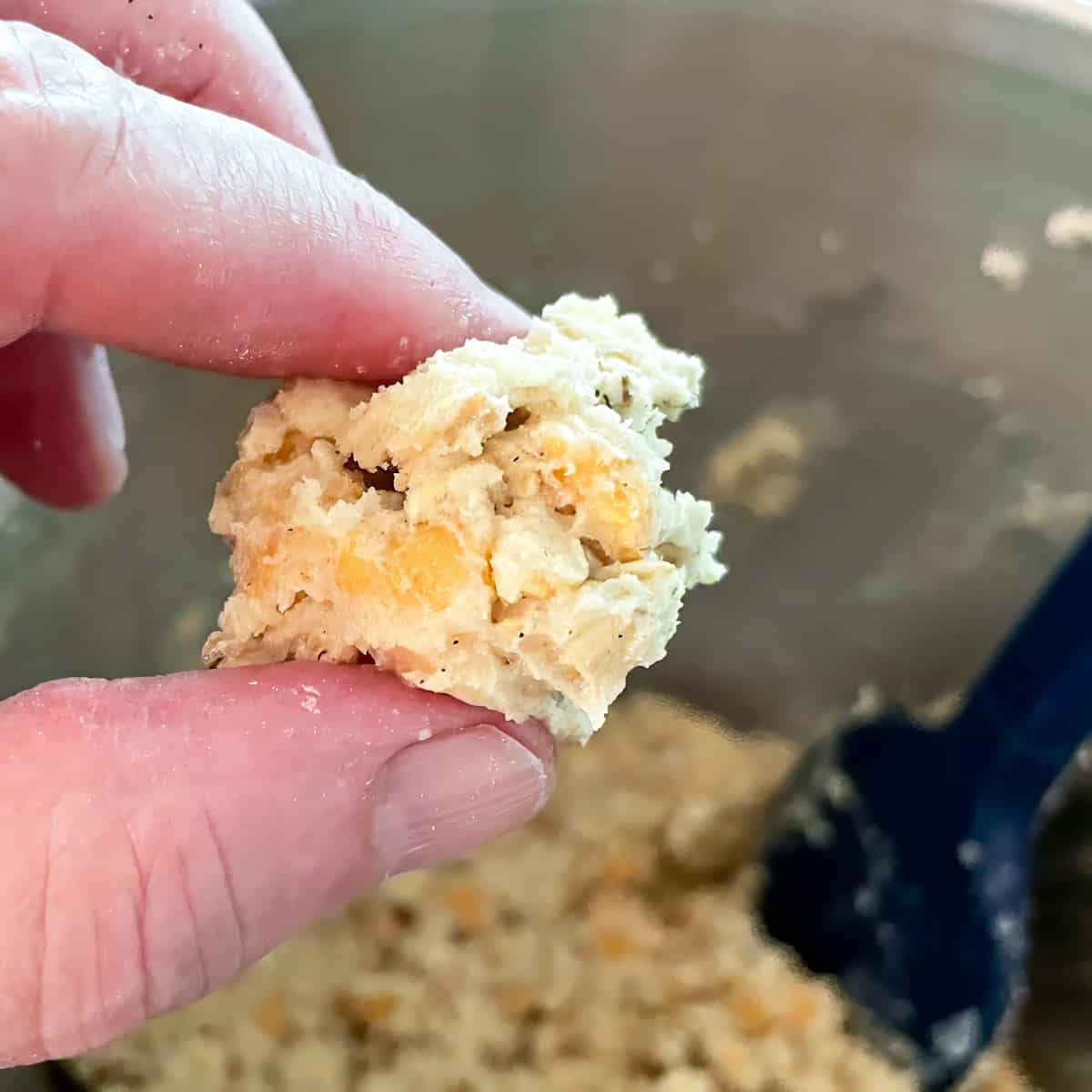 A small piece of cookie dough to show the moisture and the chips.