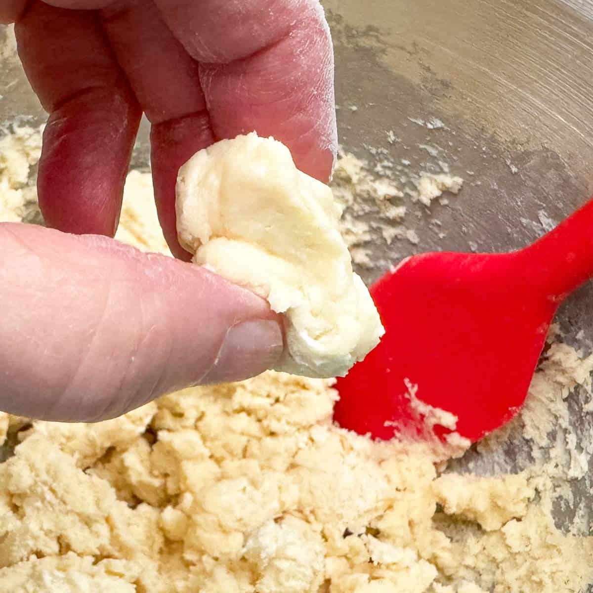 After adding the flour mixture, the dough should feel like play dough between your fingers