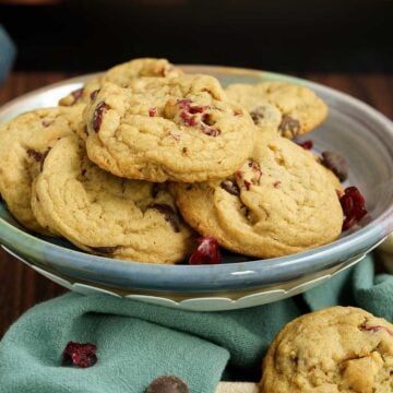 Cranberry and bittersweet chocolate chip cookies on a flat plate.