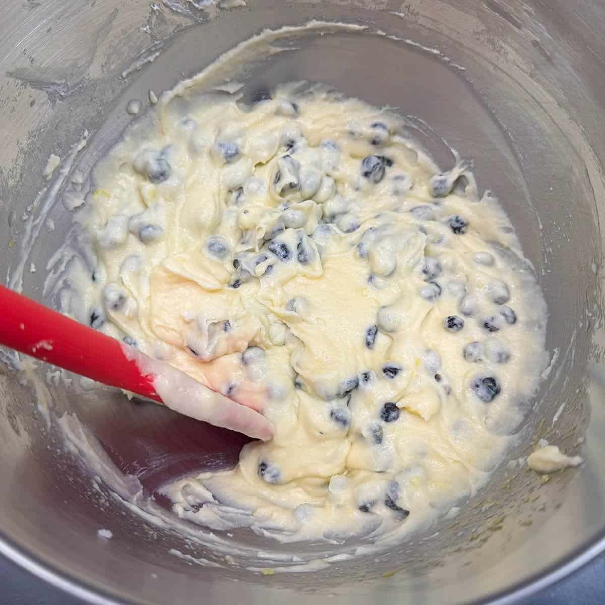 Dried blueberries mixed into the cookie dough.