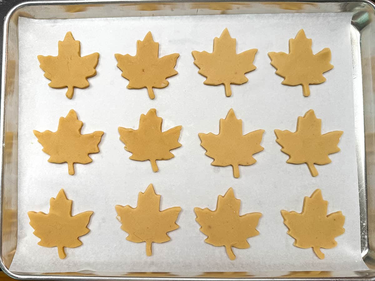 Cut out maple leaf sugar cookies on a parchment lined cookie sheet pan ready to be baked.