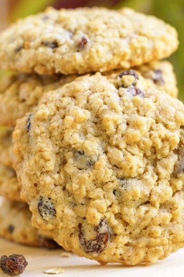 An Oatmeal Raisin Cookie leaning against a stack of cookies showing the front view.