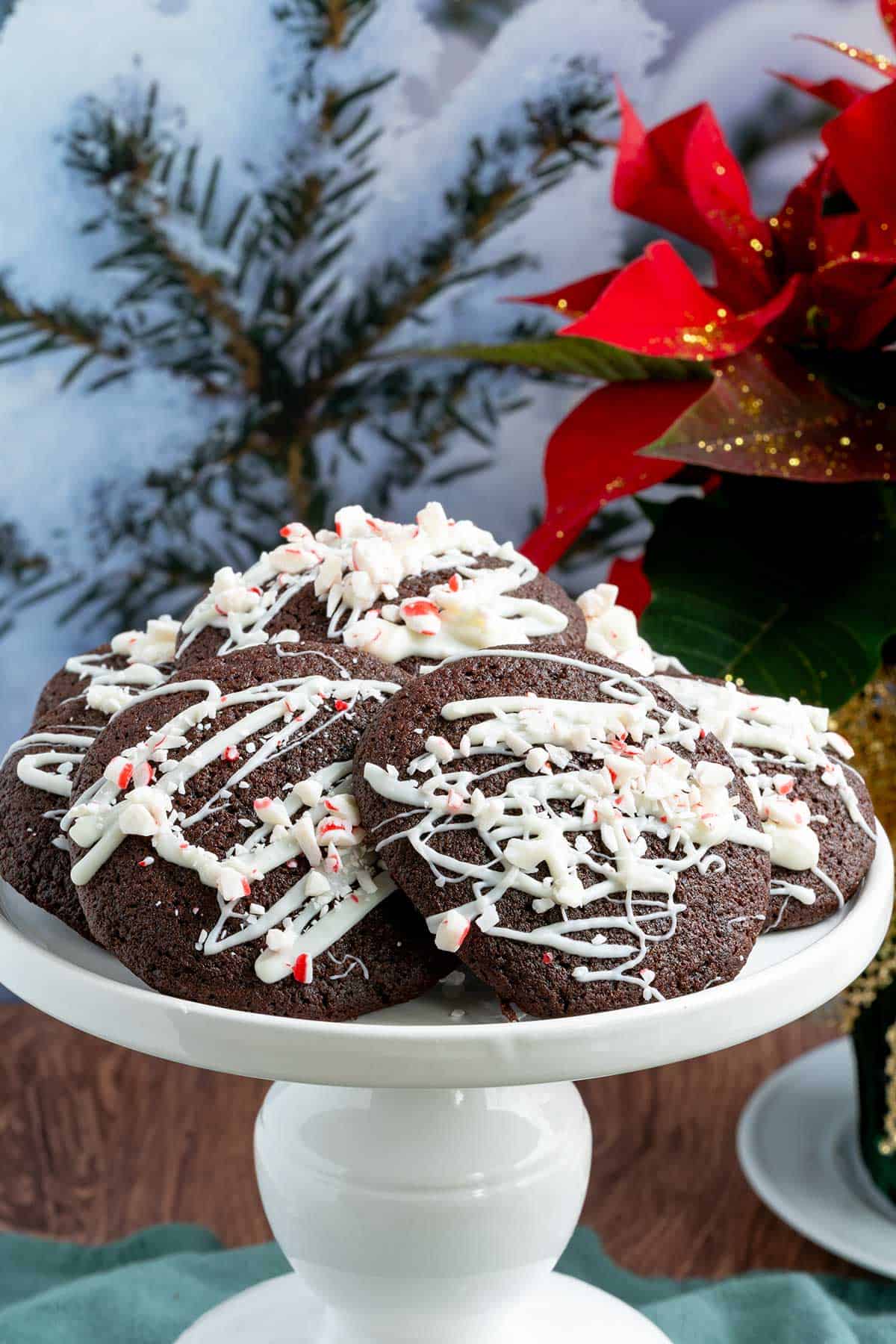 A dish full of peppermint mocha cookies with a poinsettia in the background.