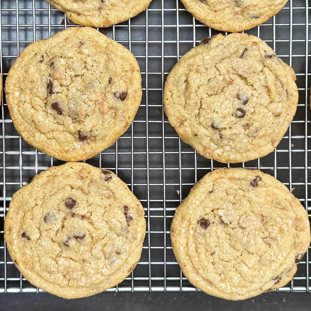 Closeup of the cooled cookie with a slight looking ring around the outside where the cookie is crispy.