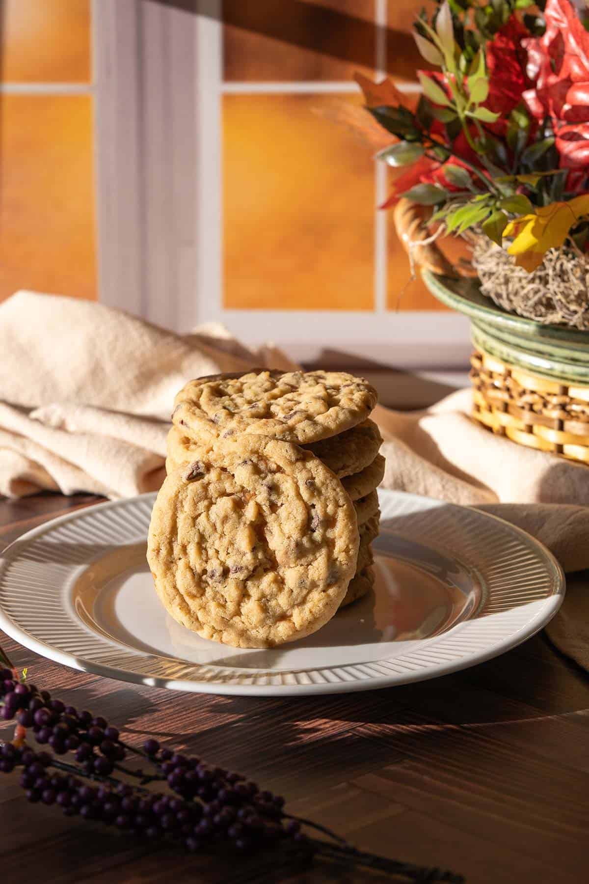 Chocolate chip toffee cookies stacked on a plate with one cookie standing up so you see the front view with shadows coming through the window.